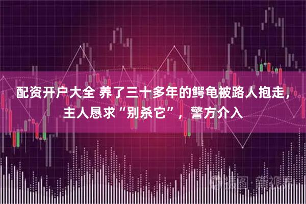 配资开户大全 养了三十多年的鳄龟被路人抱走，主人恳求“别杀它”，警方介入